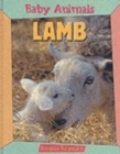 Image for BABY ANIMALS LAMB