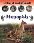 Image for Marsupials