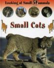 Image for LOOKING AT SMALL MAMMALS SMALL CATS