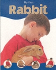 Image for My first rabbit