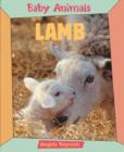 Image for Baby Animals Lamb