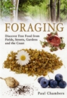 Image for Foraging