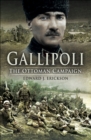 Image for Gallipoli: the Ottoman campaign