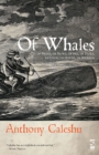 Image for Of Whales
