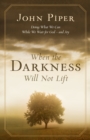 Image for When the darkness will not lift : Doing What We Can While Waiting For God - And Joy