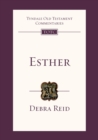 Image for Esther  : an introduction and commentary