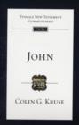 Image for John : An Introduction And Commentary