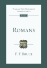 Image for Romans : An Introduction And Survey