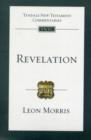 Image for Revelation : An Introduction and Commentary