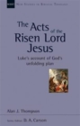 Image for The Acts of the Risen Lord Jesus : Luke&#39;S Account Of God&#39;S Unfolding Plan