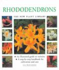 Image for LITTLE PLANT LIBRARY RHODODENDRO