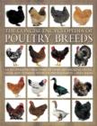 Image for The concise encyclopedia of poultry breeds  : an illustrated directory of over 100 chickens, ducks, geese and turkeys, with 275 photographs