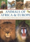 Image for Animals of Africa &amp; Europe  : a visual encyclopedia of amphibians, reptiles and mammals in the African and European continents