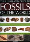 Image for An illustrated guide to the fossils of the world  : the ultimate field guide and visual aid to over 400 plant and animal species
