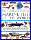 Image for The illustrated guide to marine fish of the world  : a visual directory of sea life featuring more than 450 fabulous species