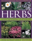 Image for An illustrated encyclopedia of herbs  : a comprehensive botanical A-Z of herbs and their uses with 575 beautiful colour photographs