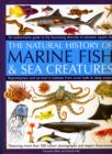 Image for The natural history of marine fish &amp; sea creatures  : an authoritative guide to the fascinating diversity of saltwater aquatic life