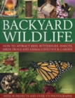 Image for Backyard wildlife  : how to attract bees, butterflies, insects, birds, frogs and animals into your garden