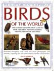 Image for ILLUSTRATED ENCYCLOPEDIA OF BIRDS WORLD