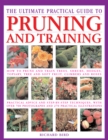 Image for Pruning