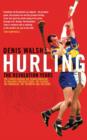 Image for Hurling  : the transformation