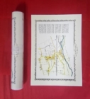 Image for Water Orton 1882 - Old Map Supplied Rolled in a Clear Two Part Screw Presentation Tube - Print Size 45cm x 32cm
