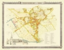 Image for Old Map of Wednesbury 1846 : Colour Town Plan of Wednesbury in the Black Country