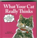 Image for What your cat really thinks