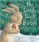 Image for The Little Lost Robin