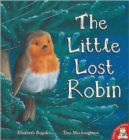 Image for The little lost robin