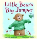 Image for Little Bear&#39;s big jumper
