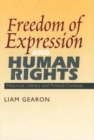Image for Freedom of expression and human rights  : historical, literary and political contexts