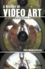 Image for A History of Video Art