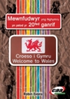 Image for Mewnfudwyr yng Nghymru yn ystod yr 20fed Ganrif