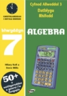 Image for CA3 Datblygu Rhifedd: Algebra Blwyddyn 7