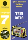 Image for CA3 Datblygu Rhifedd: Trin Data Blwyddyn 7
