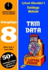 Image for CA3 Datblygu Rhifedd: Trin Data Blwyddyn 8
