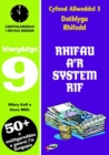 Image for CA3 Datblygu Rhifedd: Rhifau a&#39;r System Rif Blwyddyn 9