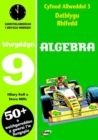Image for CA3 Datblygu Rhifedd: Algebra Blwyddyn 9