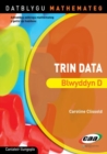 Image for Datblygu Mathemateg: Trin Data - Blwyddyn D