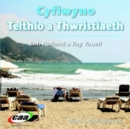 Image for Cyflwyno Teithio a Thwristiaeth