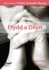 Image for Ymdrin, Ymchwilio, Mynegi: Ffydd a Dilyn