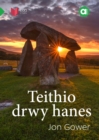 Image for Teithio drwy hanes