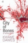 Image for City of bones