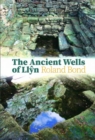 Image for Ancient Wells of Llyn, The