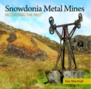 Image for Metal mining in Snowdonia