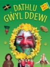 Image for Hwyl Gwyl: Dathlu Gwyl Ddewi