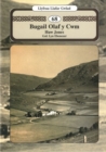 Image for Llyfrau Llafar Gwlad: 68. Bugail Olaf y Cwm