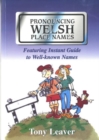 Image for Pronouncing Welsh Place Names
