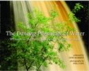 Image for Dancing Pilgrimage of Water, The - Writings on the Rivers, Lakes and Reservoirs of Wales